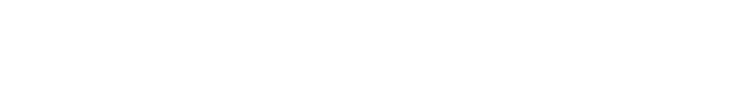 DeepInspect logo